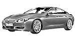 BMW F06 P1D25 Fault Code
